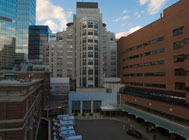 Widener Library - Harvard